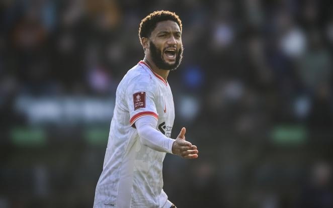 队稳定输出 队稳定输出